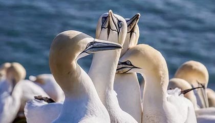 姆巴佩伤缺超级杯，皇马基地康复中|基利安·姆巴佩|曼城|西班牙|皇家马德里队|塞维利亚_新浪体育_新浪新闻